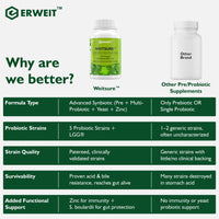 Weitsure™ – Advanced Synbiotic for Gut & Immune Health