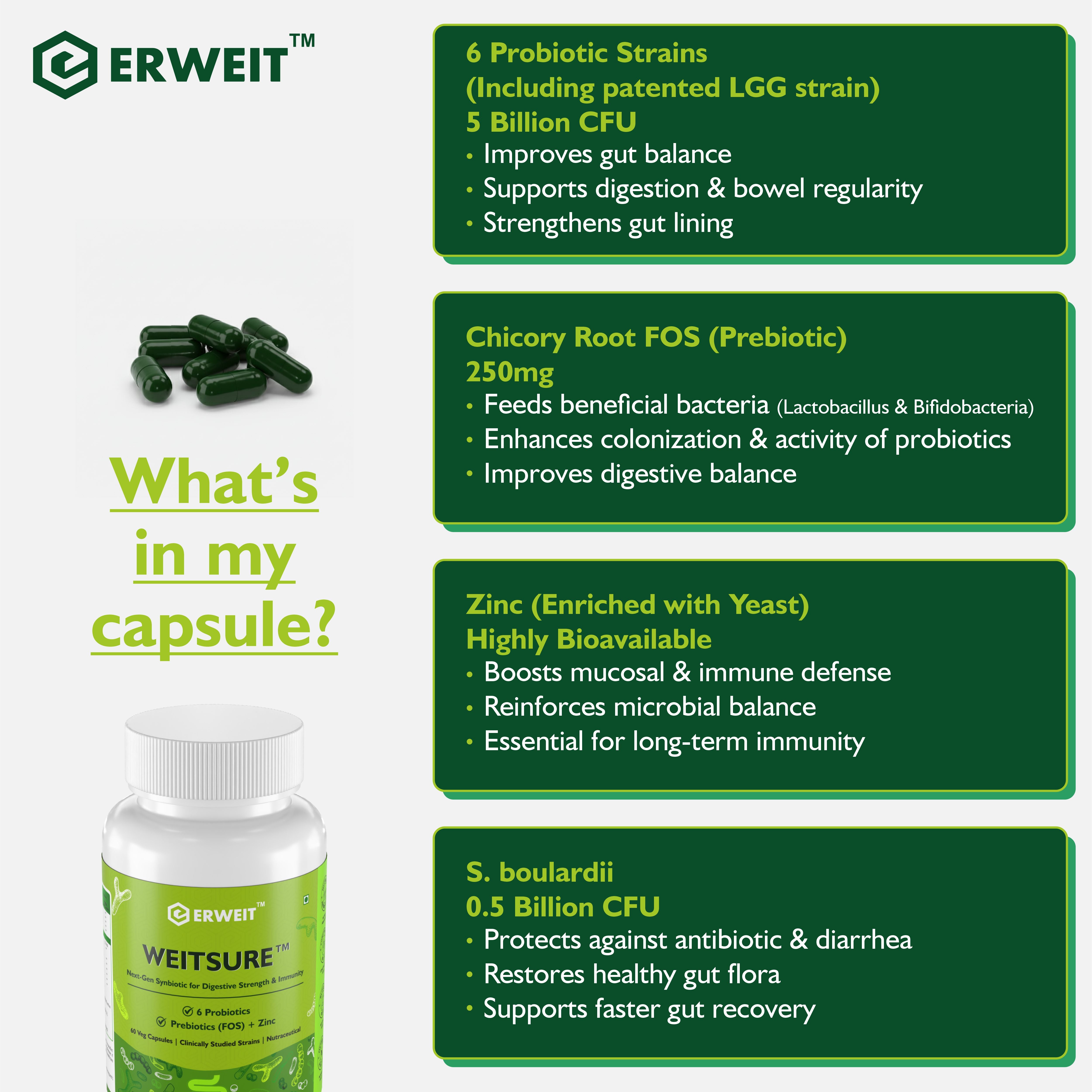 Weitsure™ – Advanced Synbiotic for Gut & Immune Health benefit infographic 3